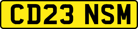 CD23NSM