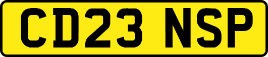 CD23NSP