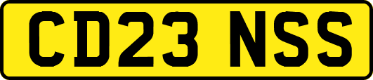 CD23NSS
