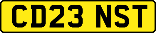 CD23NST