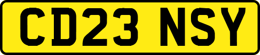 CD23NSY