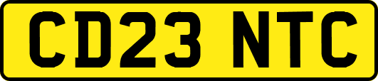 CD23NTC