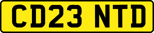 CD23NTD