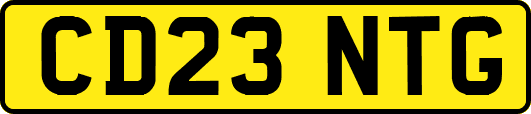 CD23NTG