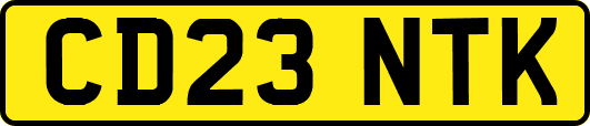 CD23NTK