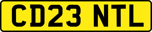CD23NTL