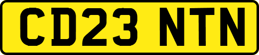 CD23NTN