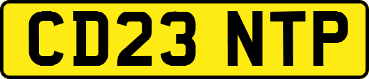 CD23NTP