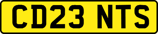 CD23NTS