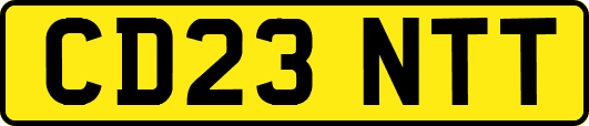 CD23NTT