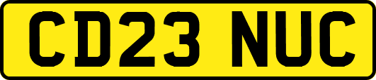 CD23NUC