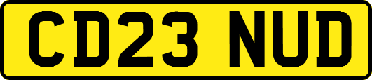 CD23NUD