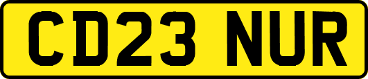 CD23NUR