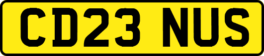 CD23NUS