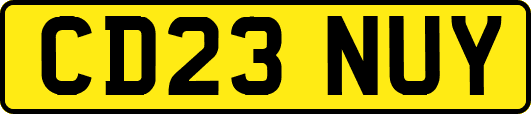 CD23NUY