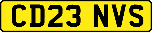 CD23NVS