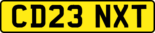CD23NXT