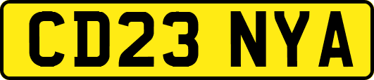 CD23NYA