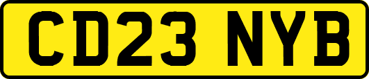 CD23NYB
