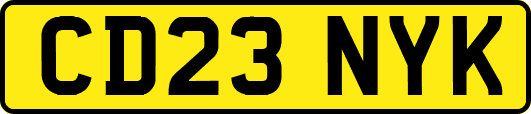 CD23NYK