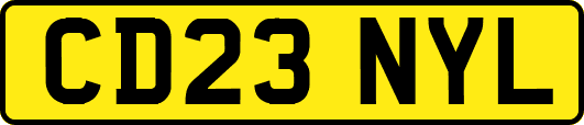 CD23NYL