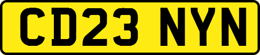 CD23NYN