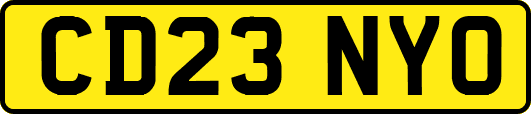 CD23NYO