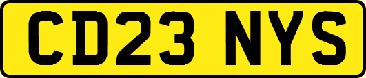 CD23NYS