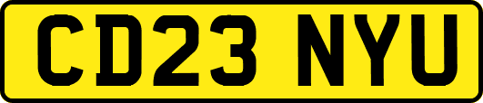 CD23NYU