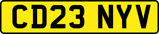 CD23NYV