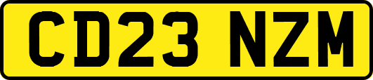 CD23NZM