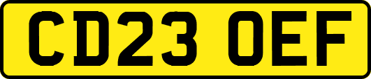 CD23OEF