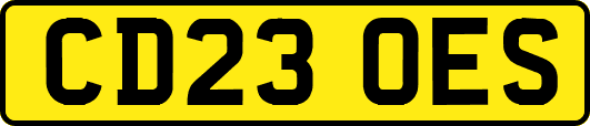 CD23OES