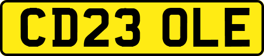 CD23OLE