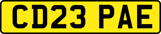 CD23PAE