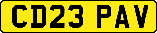 CD23PAV
