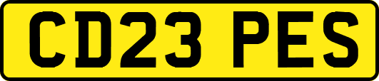 CD23PES