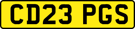 CD23PGS