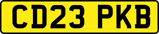 CD23PKB