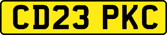 CD23PKC