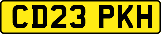 CD23PKH