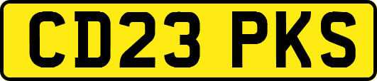 CD23PKS
