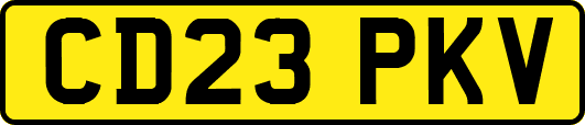 CD23PKV