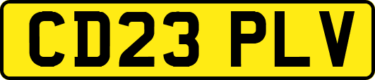 CD23PLV