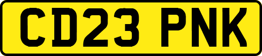 CD23PNK