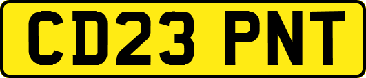 CD23PNT