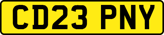 CD23PNY