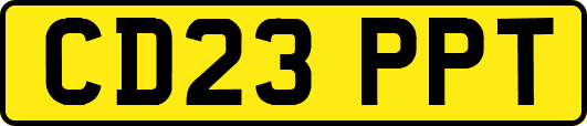 CD23PPT
