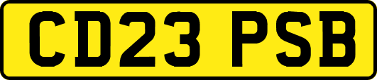 CD23PSB