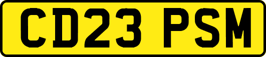 CD23PSM